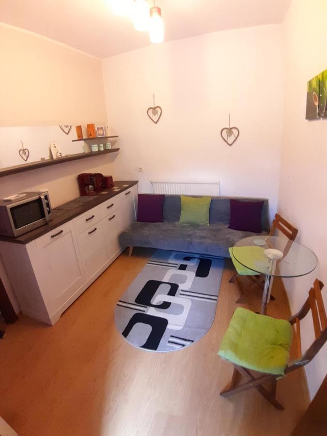 Appartamento Studio La Stefy Sibiu Esterno foto